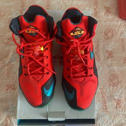 LEBRON 11 ELITE SIZE 9