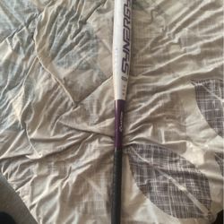 Softball Bat 