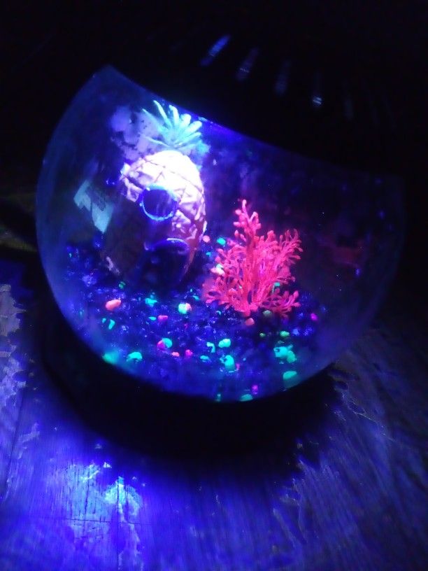 Fishbowl/Tank