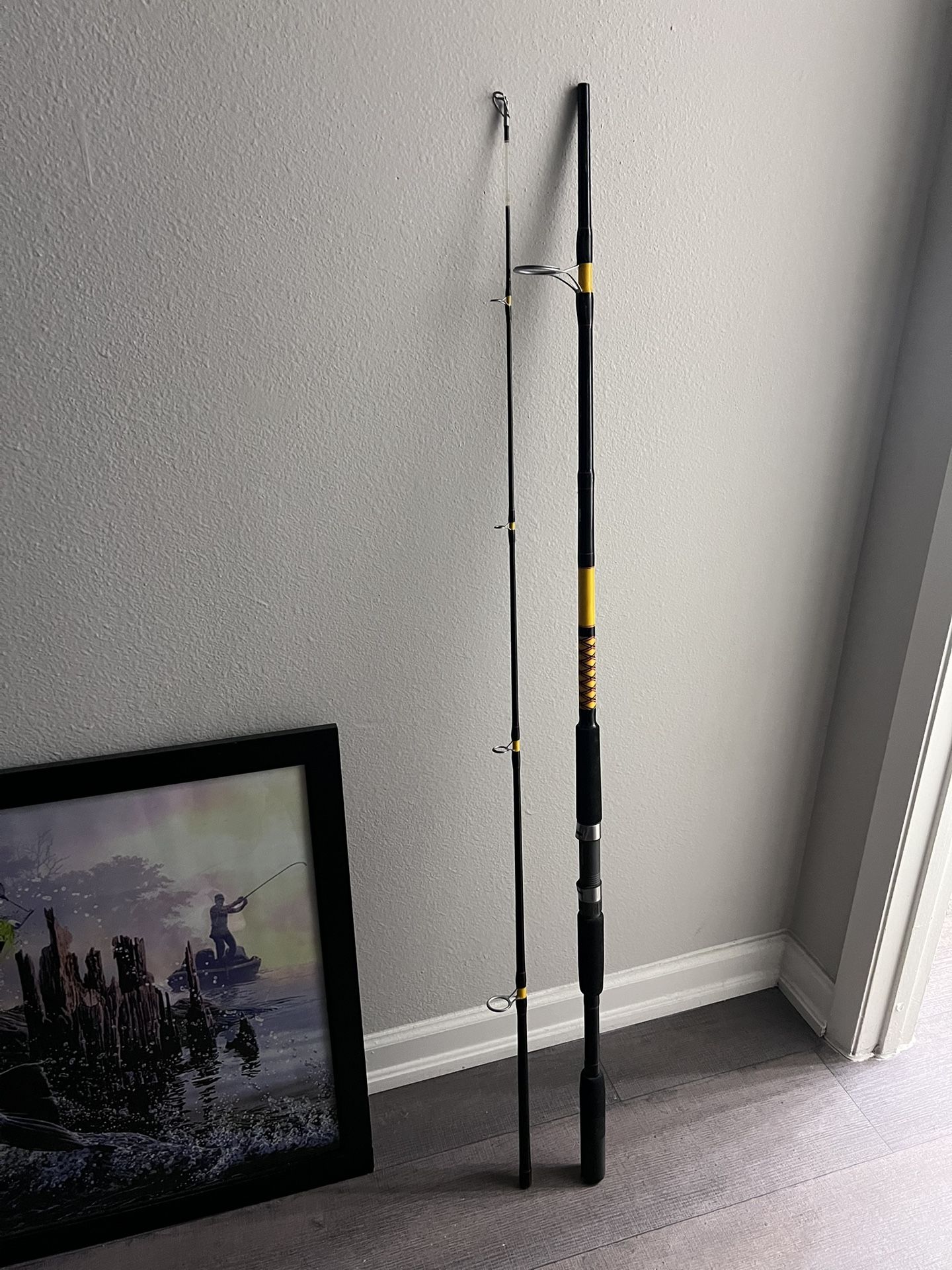 Ugly Stik 9’0” rod