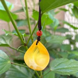 Nature Baltic Amber Necklace 