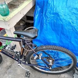 Trek Aluminum VW Limited Edition