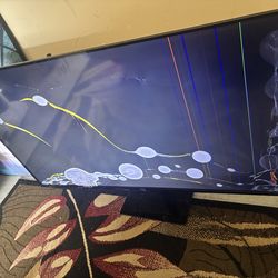 55” Roku Smart TV – Screen Damaged (For Parts or Repair)