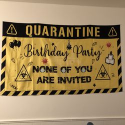 Quarantine Birthday Decoration