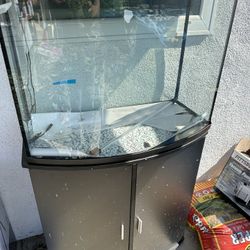 35 Gallon Bow Front Aquarium , Stand, Light