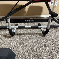 Pull Up Bar