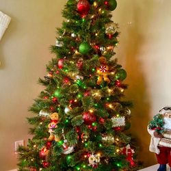 7.5  Virginia Pine Christmas tree