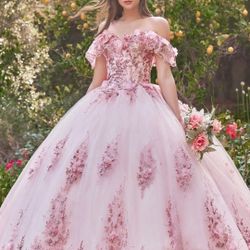 Quinceanera Dress 