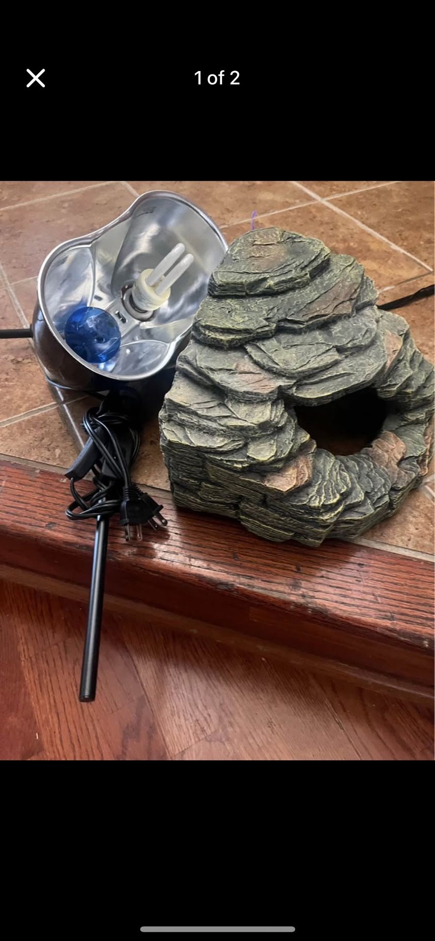 Turtle Light and rock