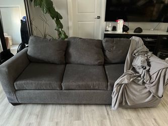 $100 gray couch with cover