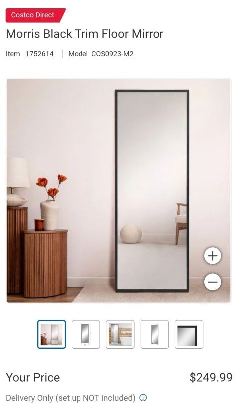Morris Black Trim Floor Mirror $160