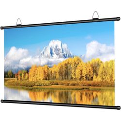 Indoor/outdoor Projector Screen