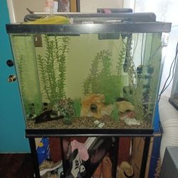 60 Gallon Fish Tank Set