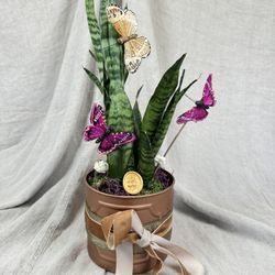Snake Plant Adorned With Butterflies 