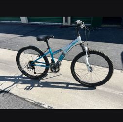 Diamondback Mountain Bike