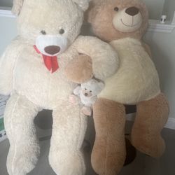 Big Bear !! Oso Grande 