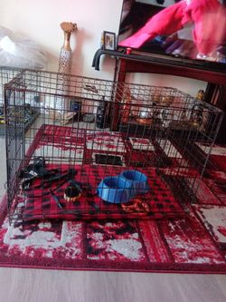 Dog kennel  XL