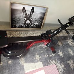 Stamina Row Machine 