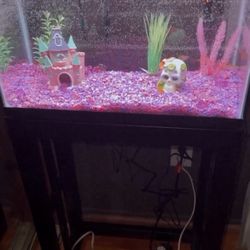 10 Gallon Fish Tank