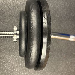 Standard Steel Curl Bar with Cast Iron Weight Plates pairs: 15#, 10 & 5 #. Total: 76 pounds