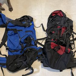 Hiking/Traveling bag 