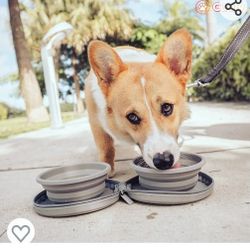 Collapsible Double Diner