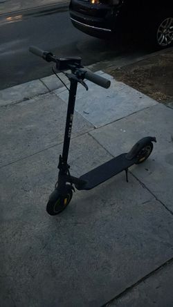 One Plus Scooter