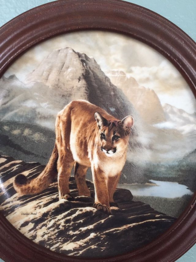 Collectible Plate "The Cougar"
