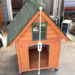 Dog House 