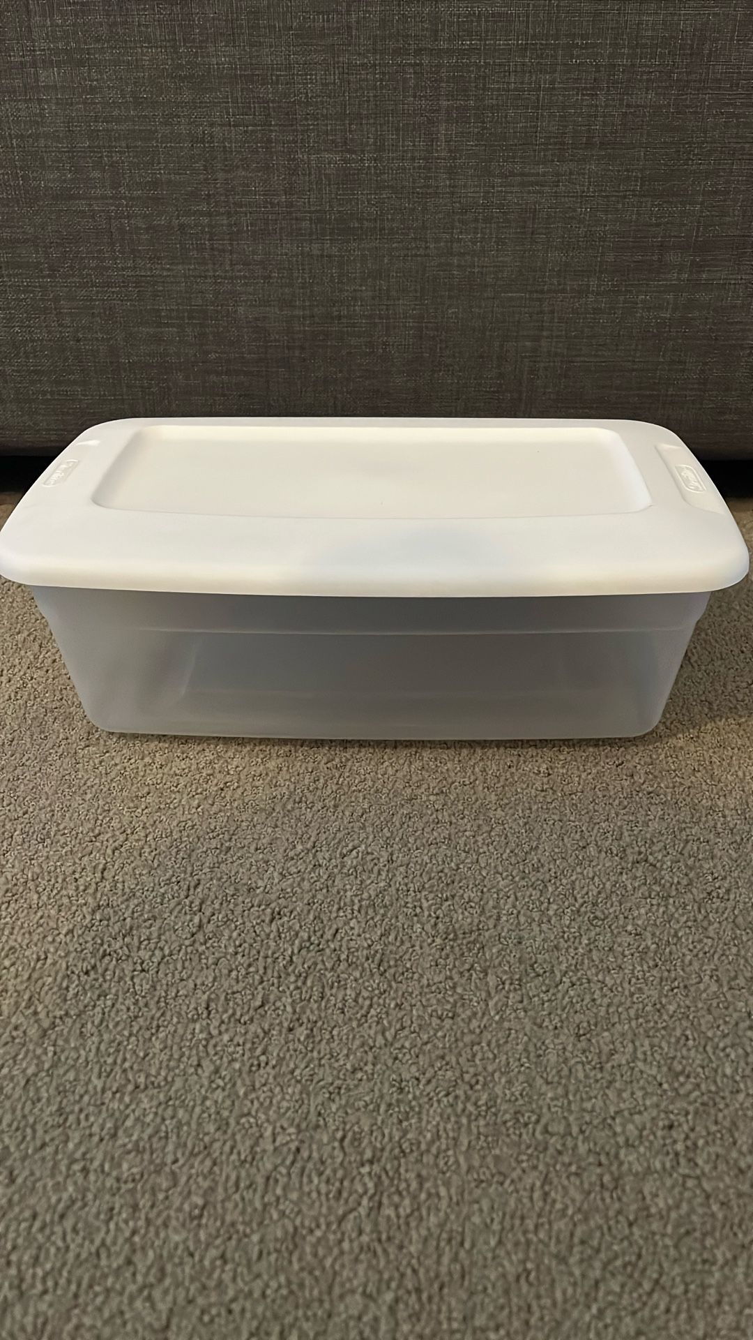 Sterilite Shoe Organizer