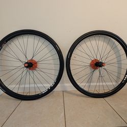 Wheelset WTB ST i19 TCS 2.0 29"/700c Shimano 11sp - Thru-Axle