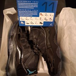 Jordan Retro 11 GAMMAS 