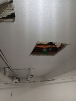 fire sprinklers