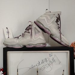 LeBron Nike Shoes 