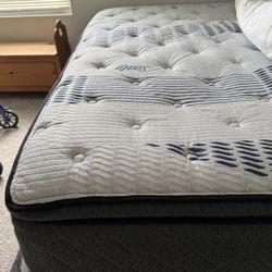 Sealy Queen Pillow To Mattress/short Box Spring/Frame