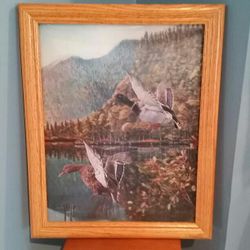 3-D Malard Duck Picture