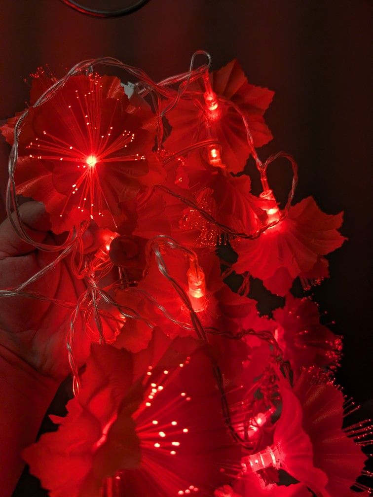Flower Rope Lights 