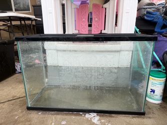 Fish tank