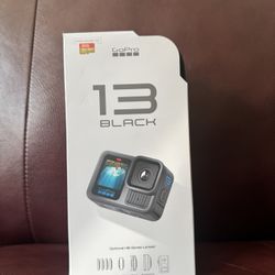 GoPro Hero 13