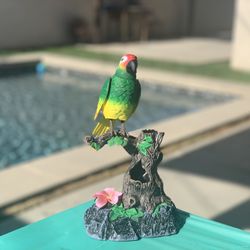 Talking Parrot Decor 🦜