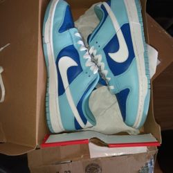 Nike Dunk Low QS Argon