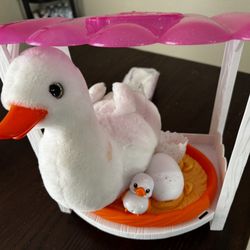 Live Pets Mother Duck With Ducklings