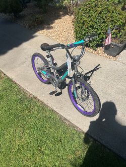 Bike Schwinn never used 20” $60
