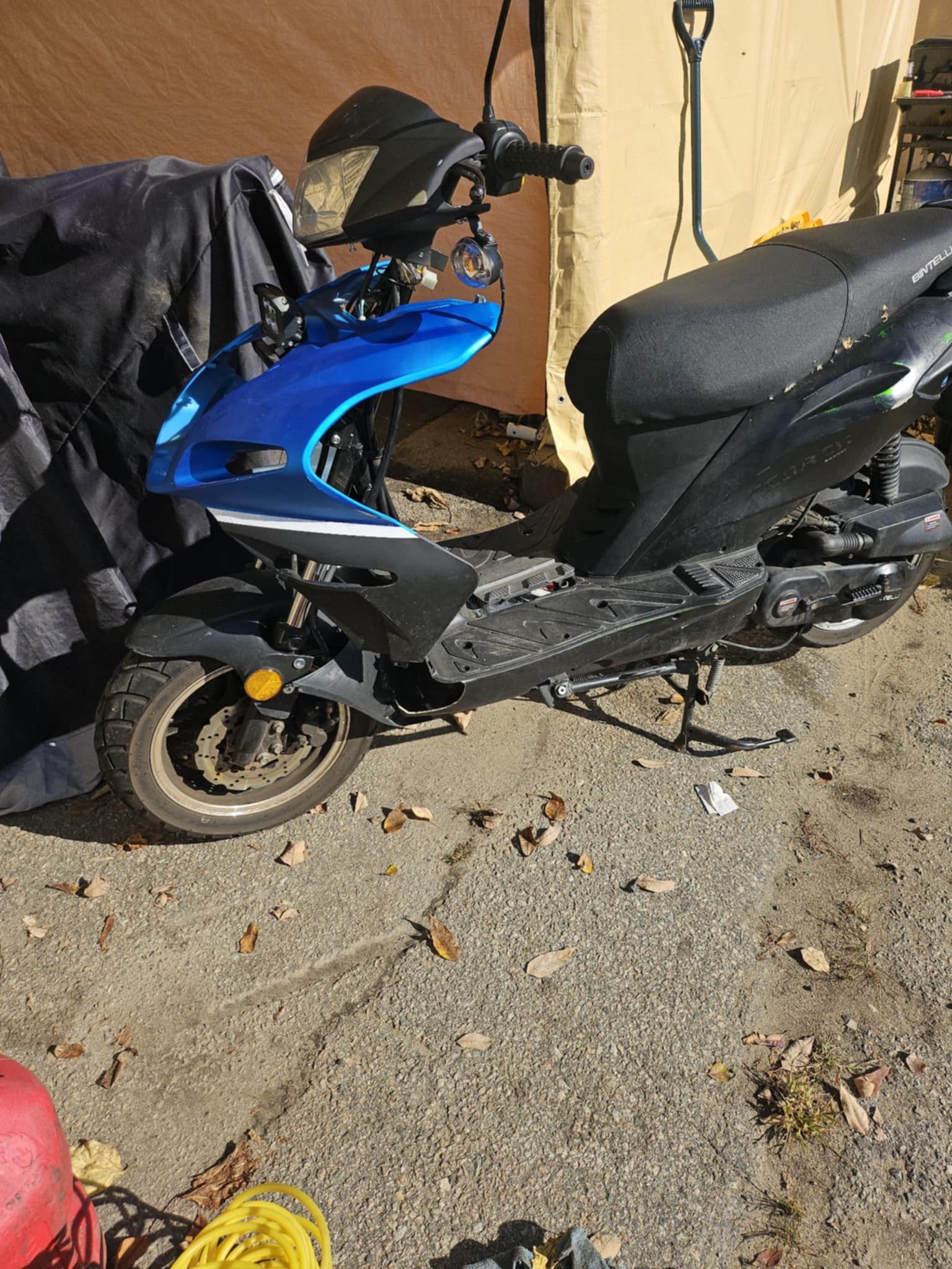 Moped 2023 Bintelli
