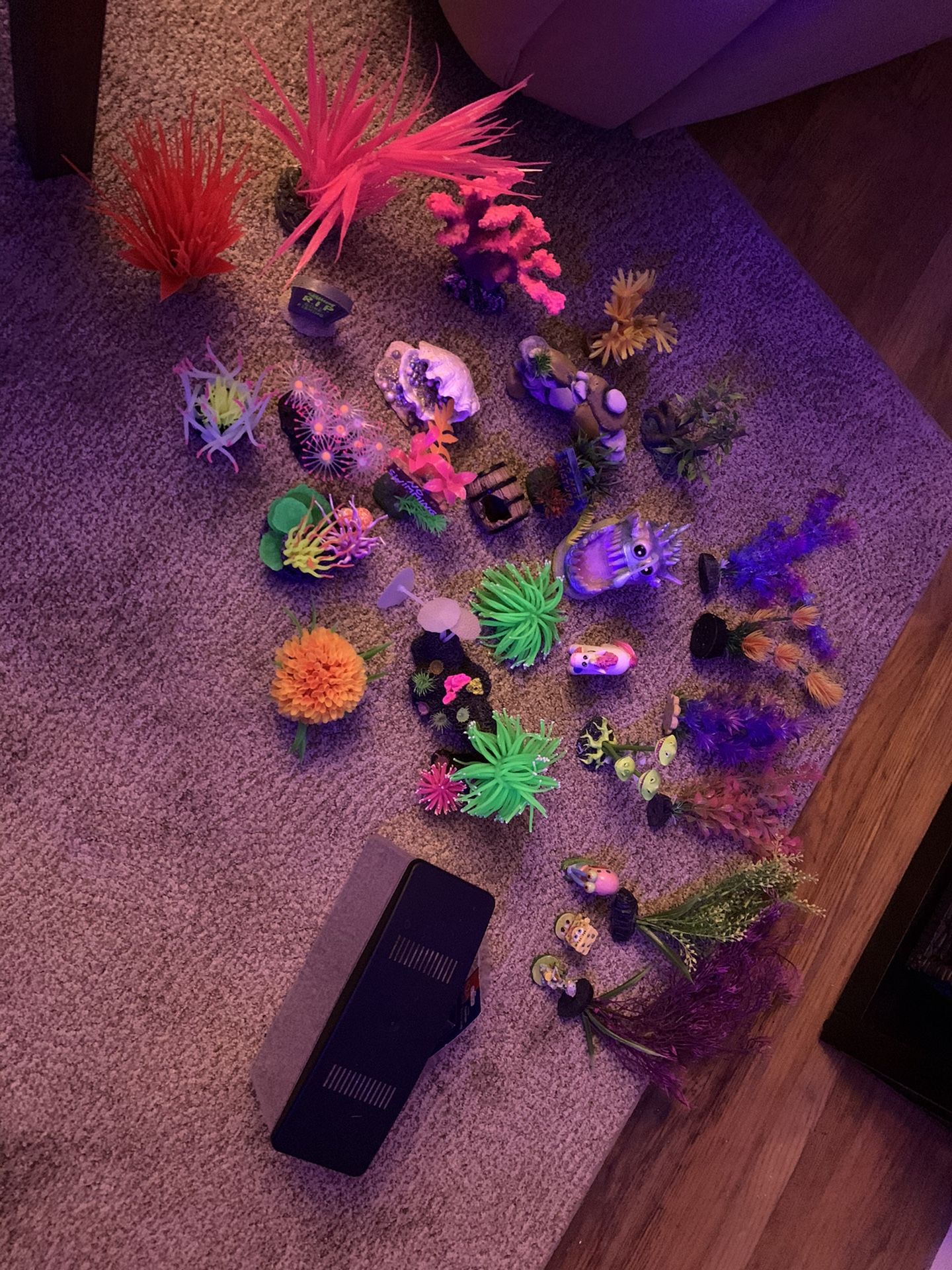 Fish tank decorations