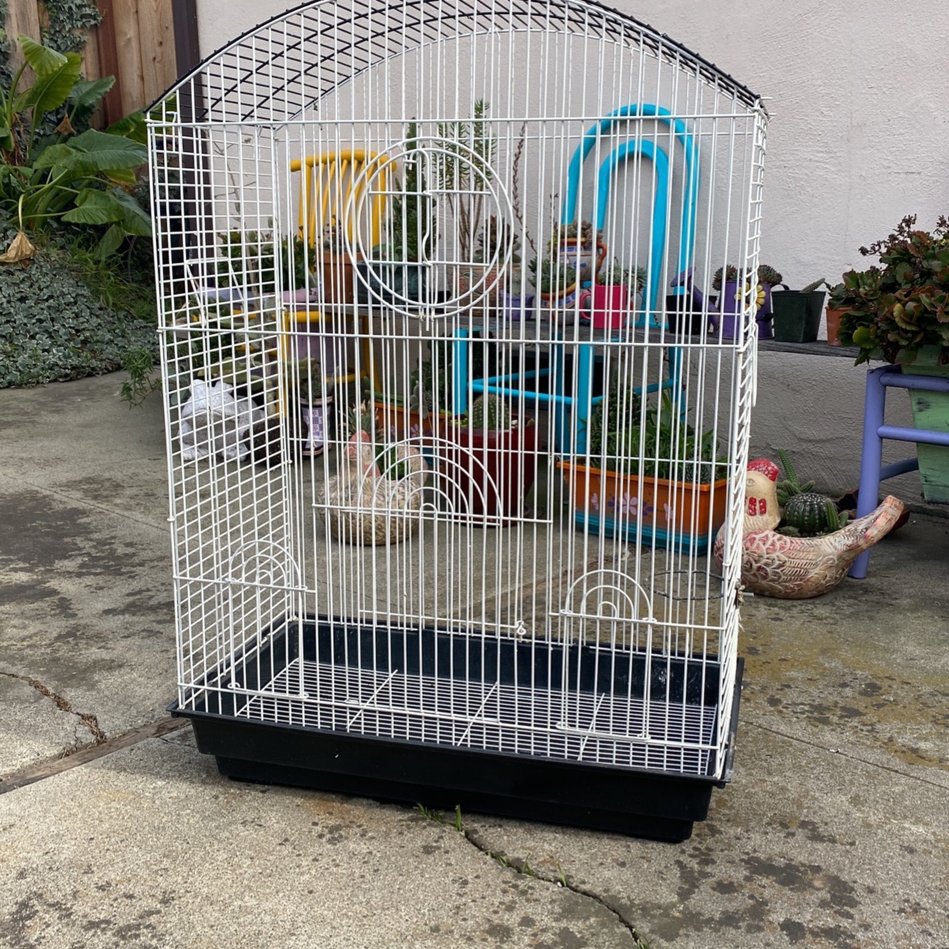 Parrot/Bird Cage