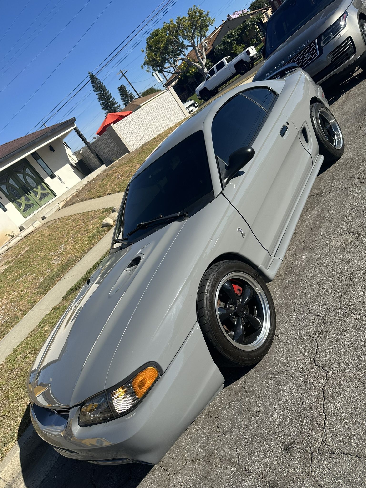 Mustang Cobra 1998