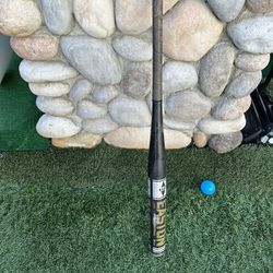 Baseball Bat 