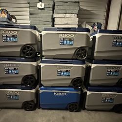 Igloo Coolers 