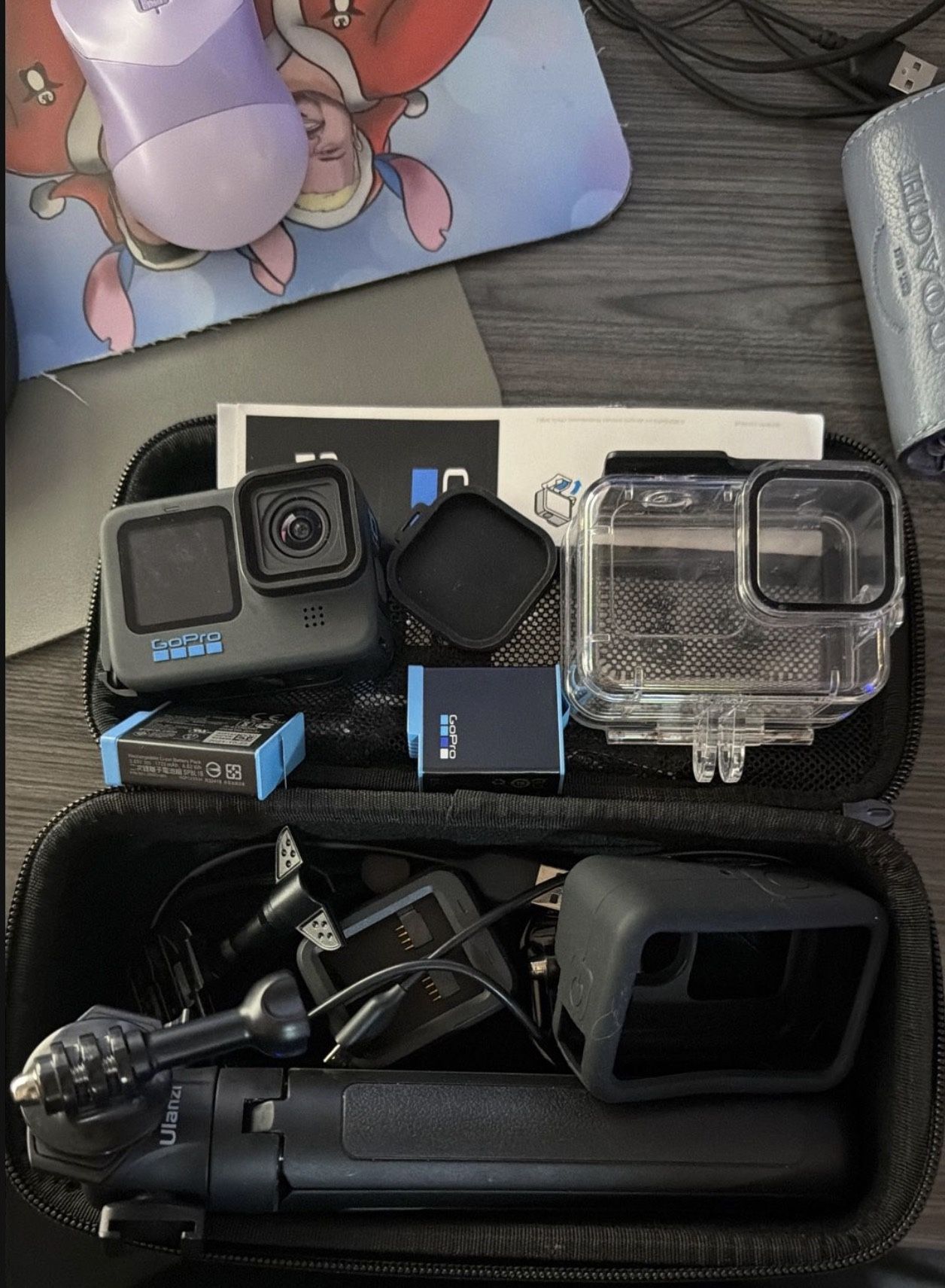 Go Pro Hereo10 & Accessories 